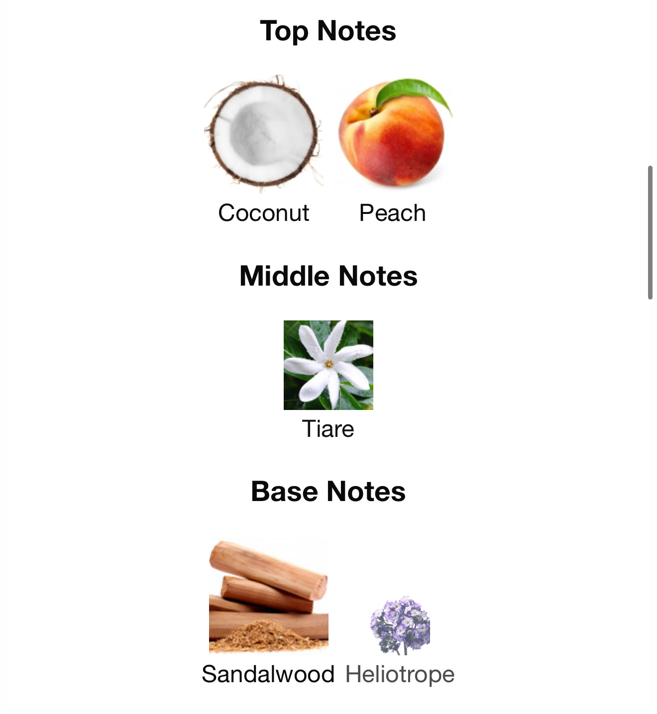 Arabiyat Prestige - Nyla | EDP 80ML | Unisex