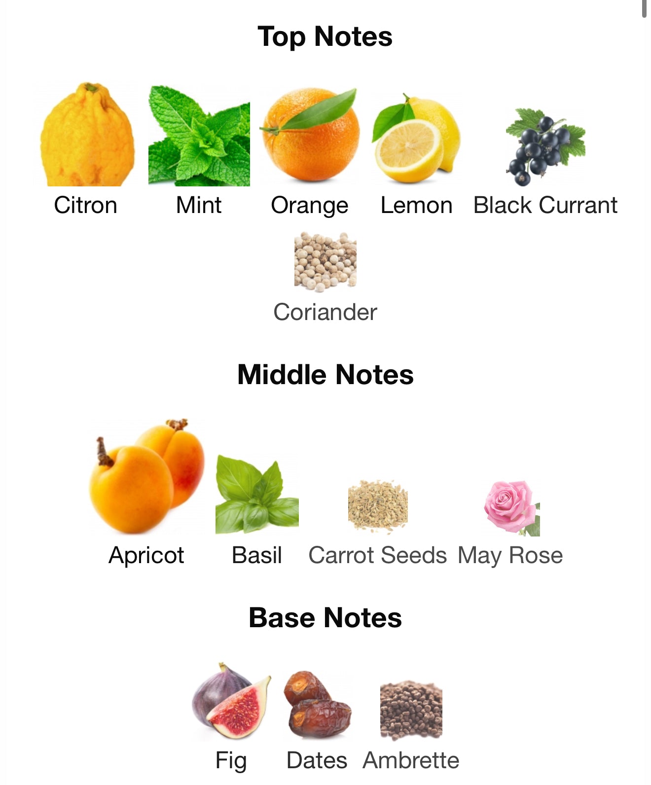 Vibe JEAN LOWE 100ml by Maison Alhambra