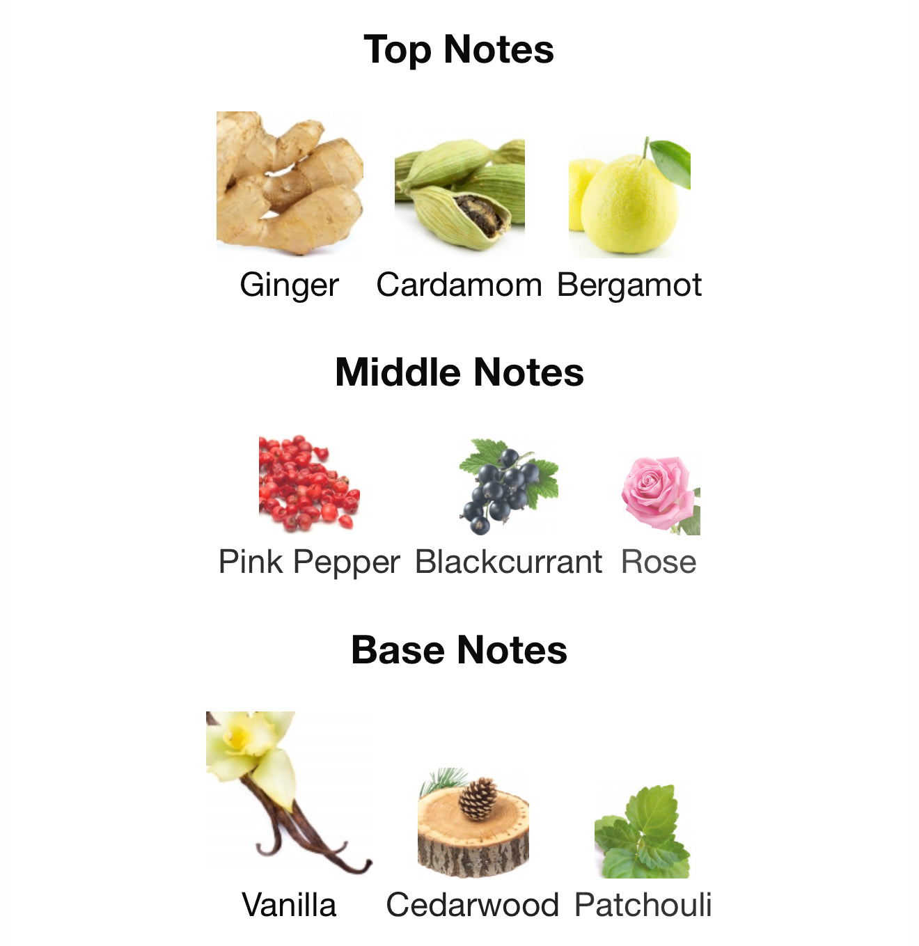 SPECTRE GHOST 100ml by French Avenue