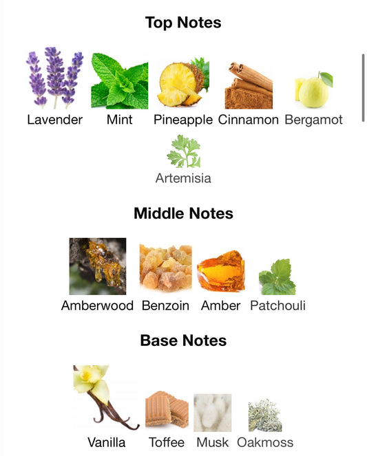 VIRILIS by Paris corner 100ml