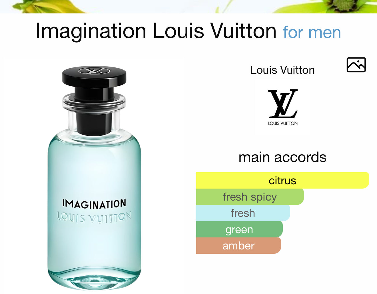 SAHEB INTENSE 70ML by Ard Al Zaafran