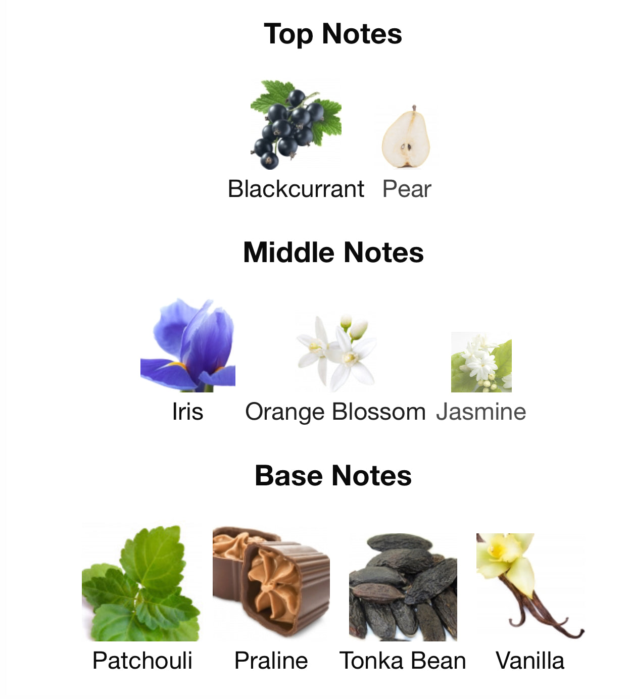 La vivacite by Maison Alhambra 100ml