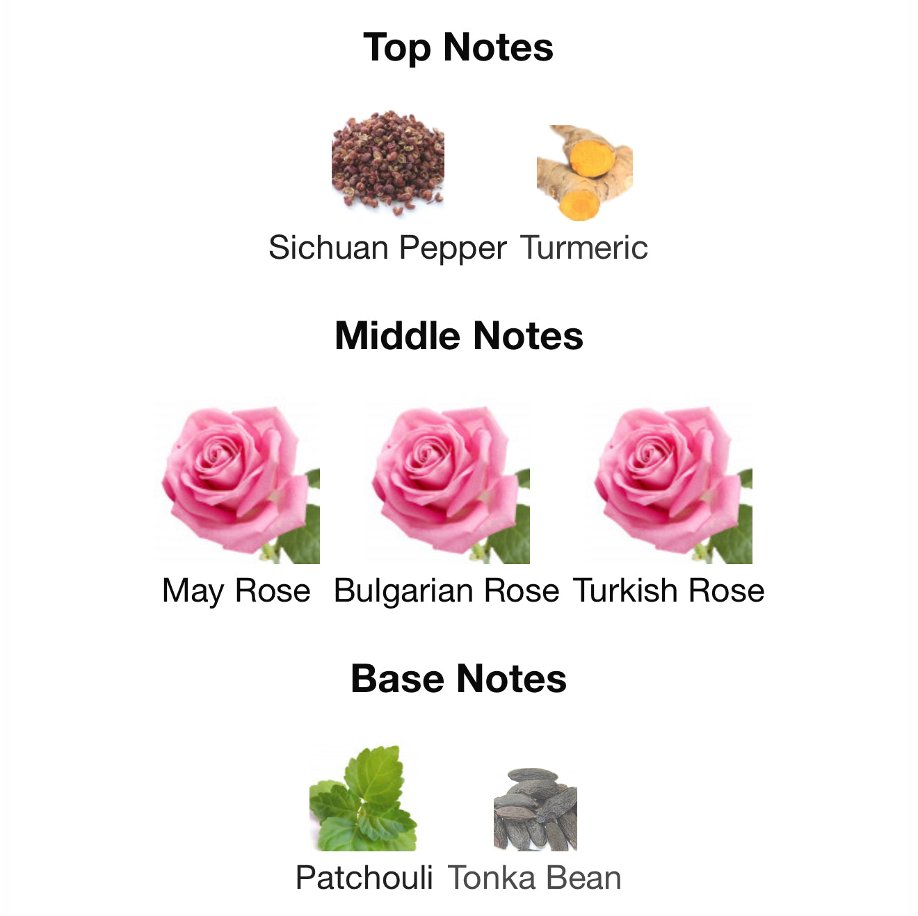 Rose Addict by Paris Corner 100ml