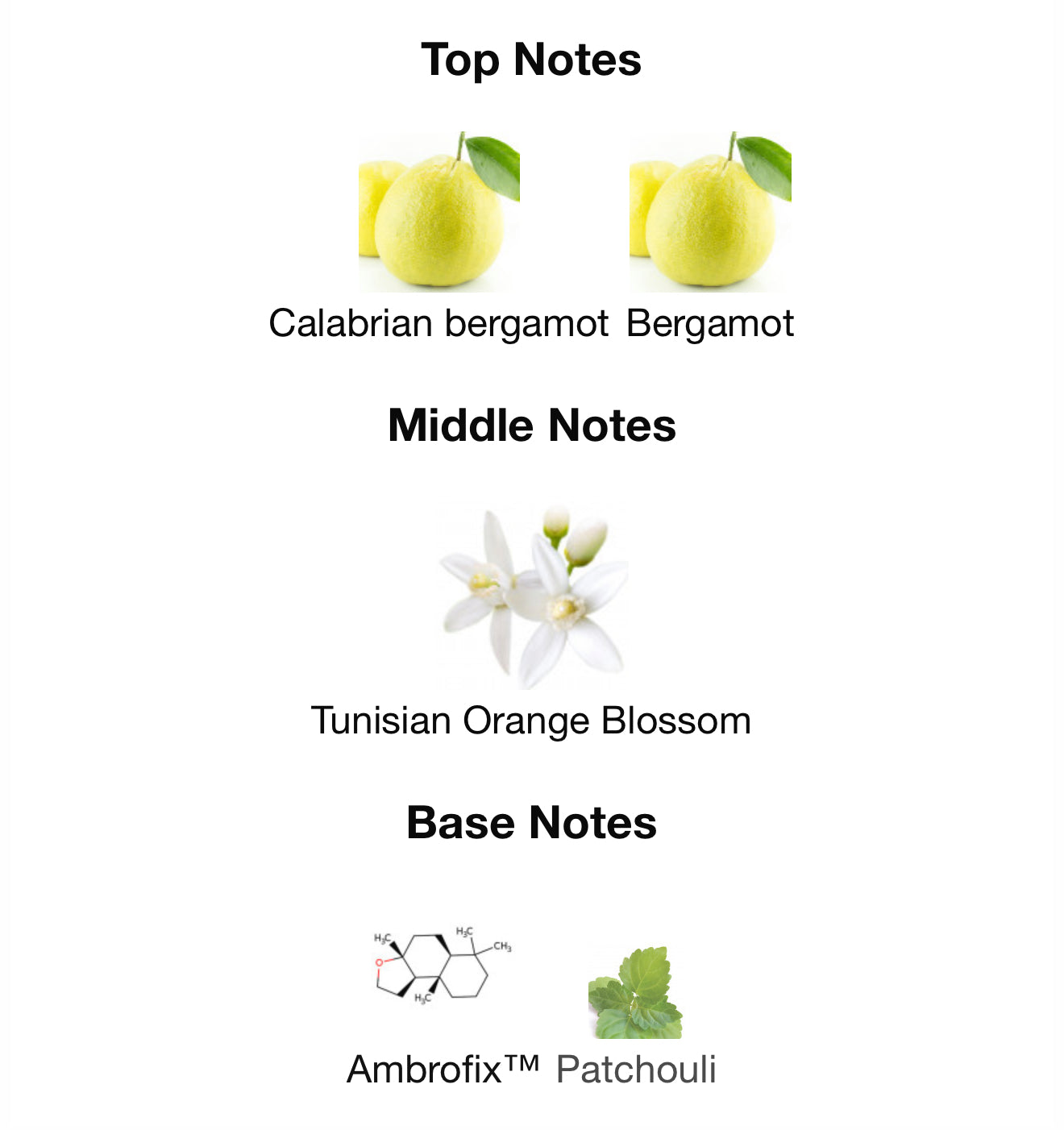 Mindset EDP Perfume By Maison Alhambra 100ml