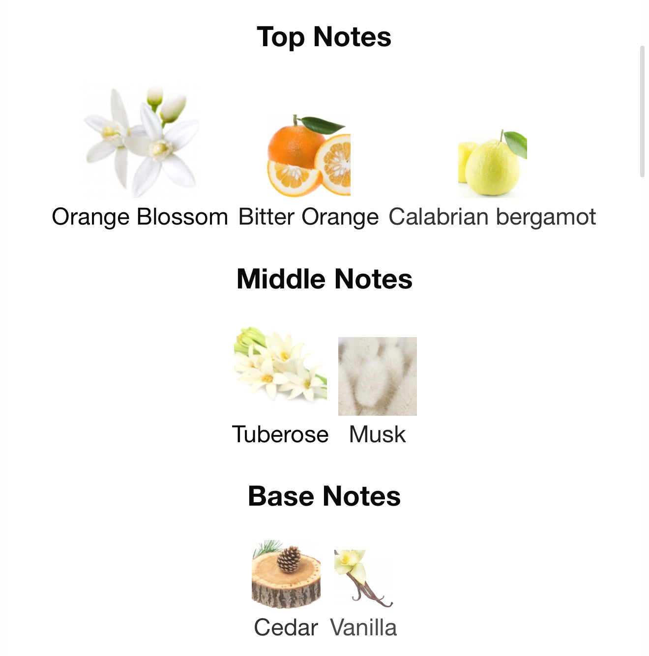 Only You Zimaya 100ml