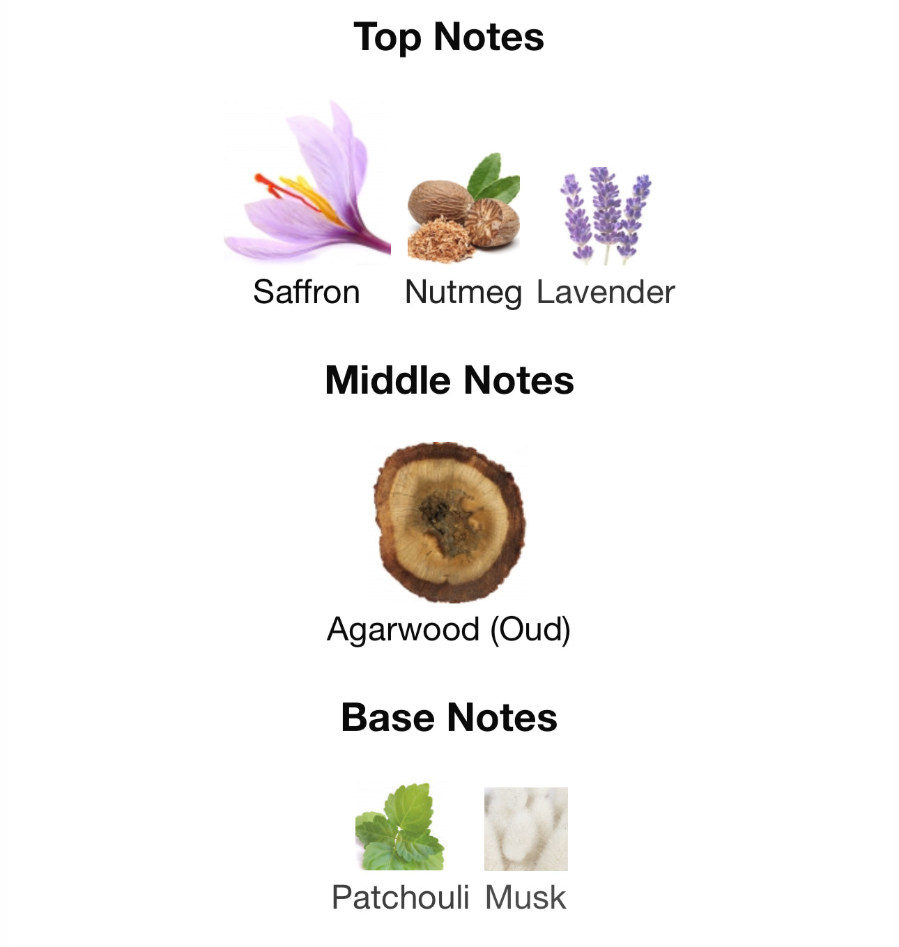 Bade'e Al Oud 100ml by Lattafa