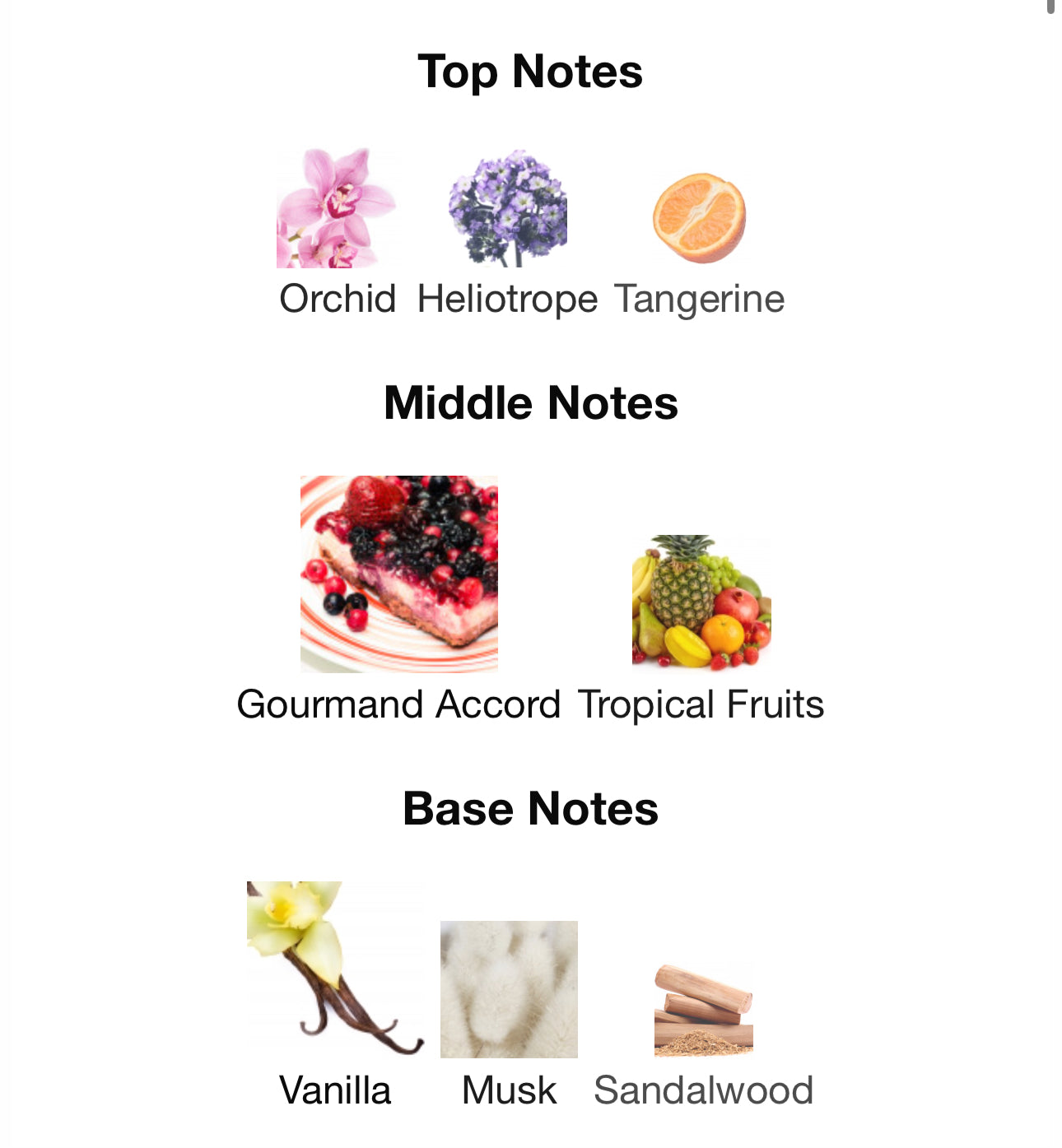 YARA 100ml LATTAFA EDP