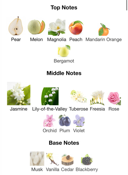 Jardin de Paris by Maison Alhambra 100ml