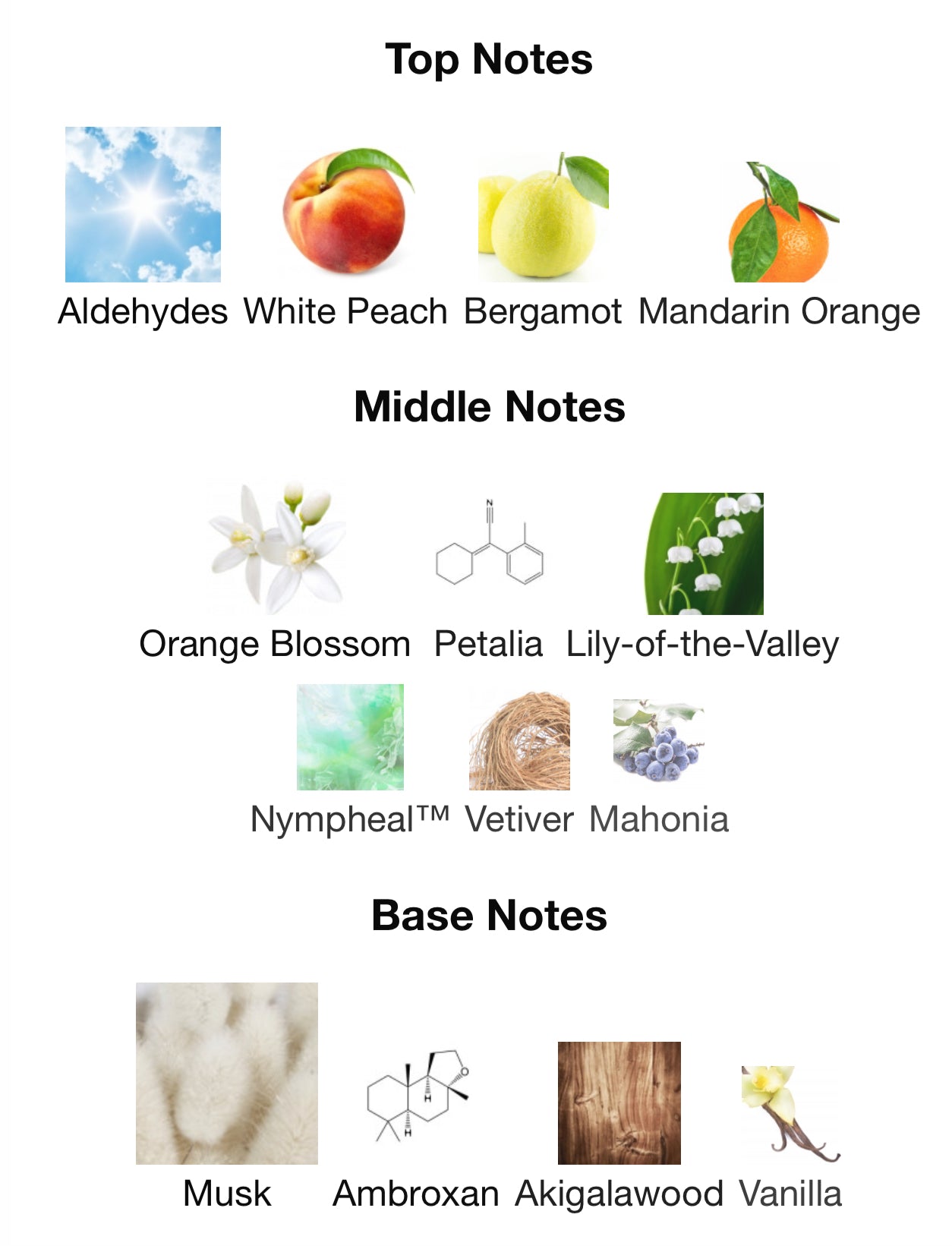 MYSTIQUE BOUQUET by AFNAN 100ml