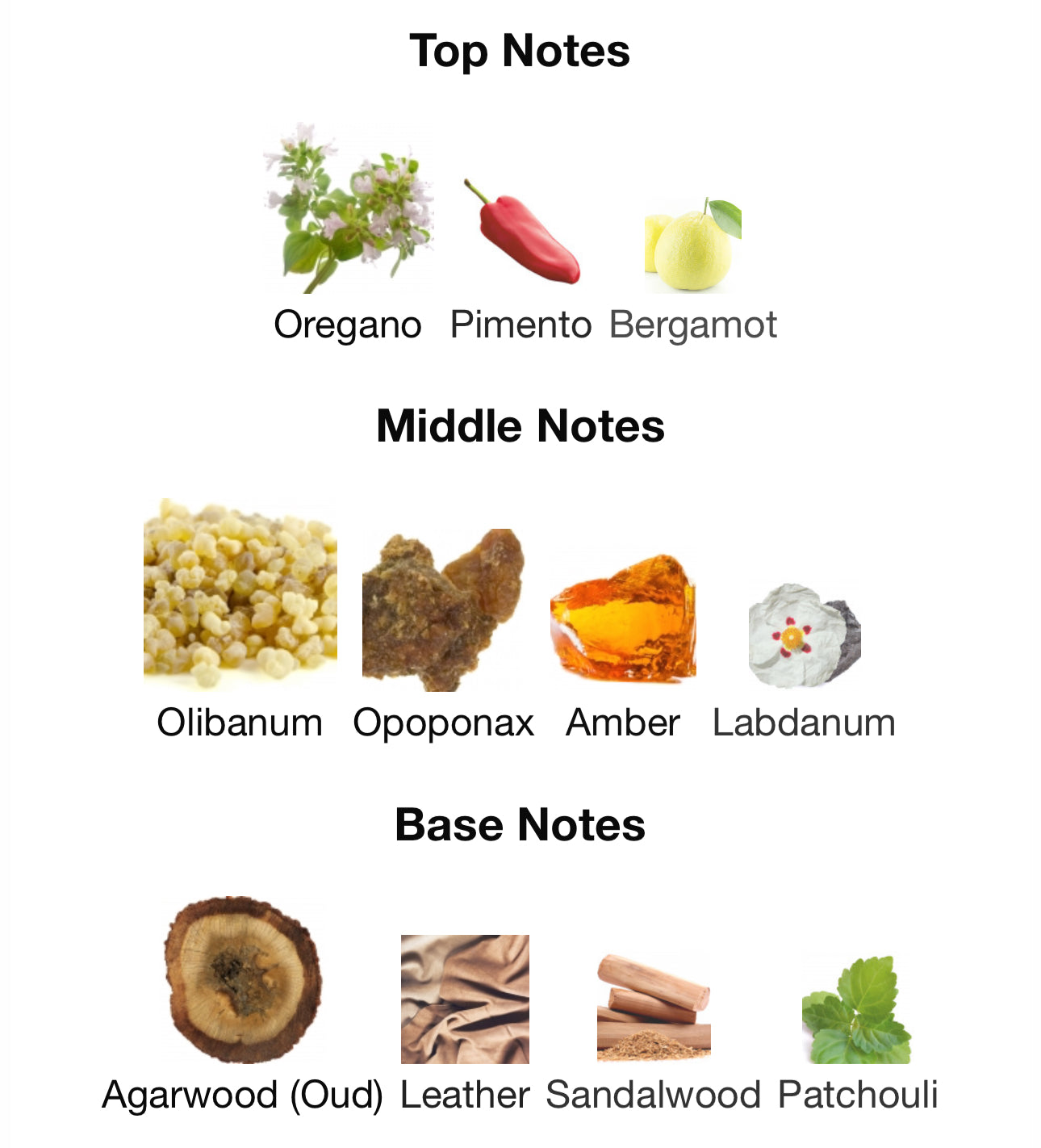 Midnight OUD by Ard Alzaafran 100ml