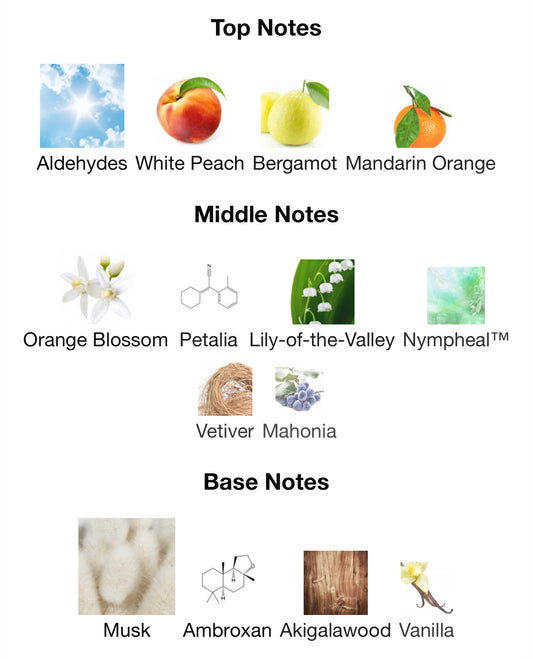 DELILAH BLANC 100ml by Maison Alhambra