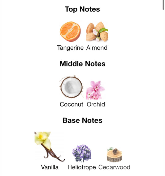 Shafaq 100ml EDP by Ard Al Zaafaran