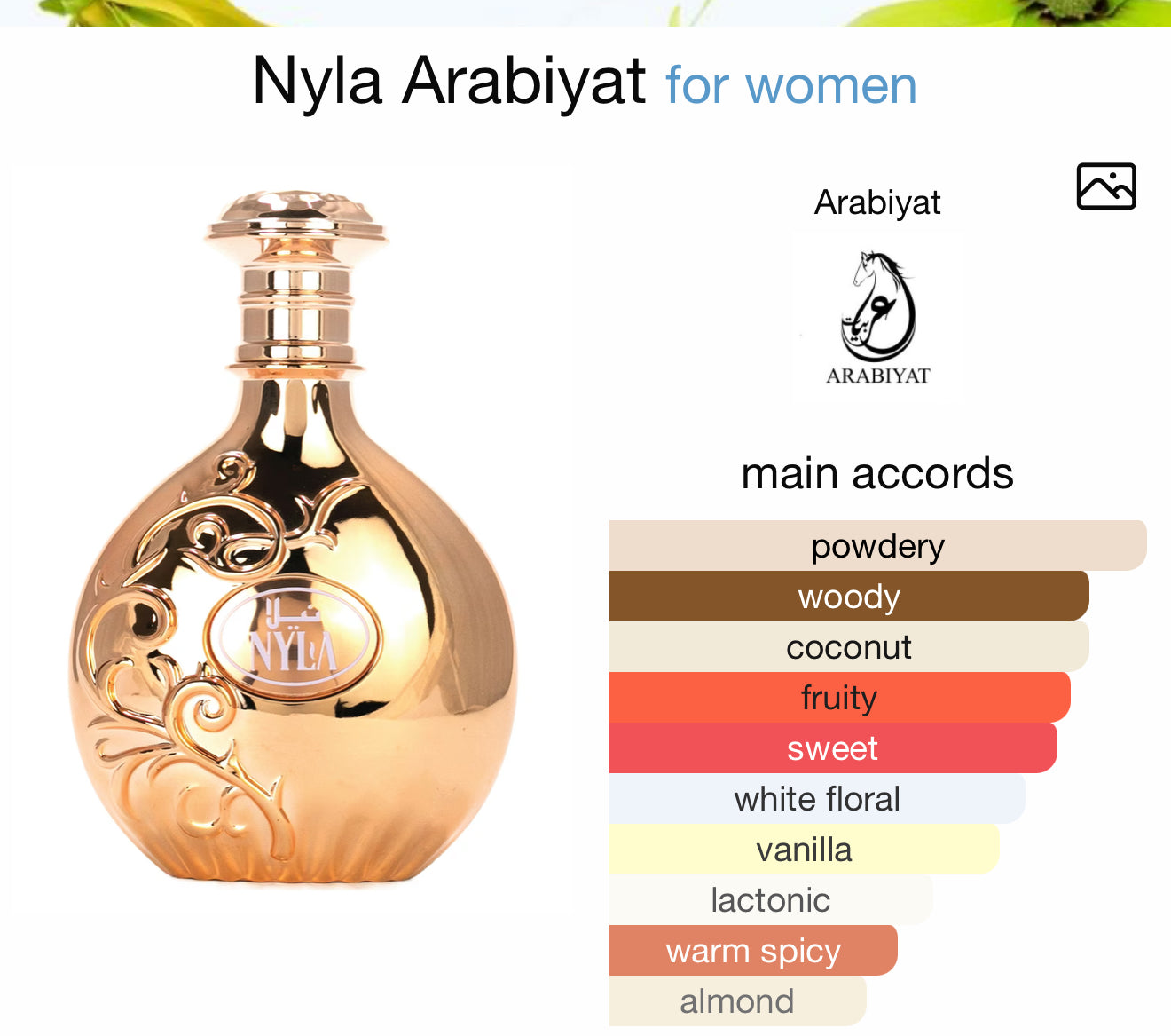 Arabiyat Prestige - Nyla | EDP 80ML | Unisex