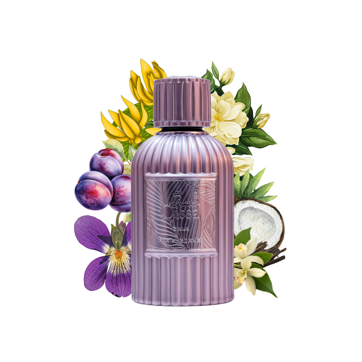 Qissa Gala by Paris corner 100ml